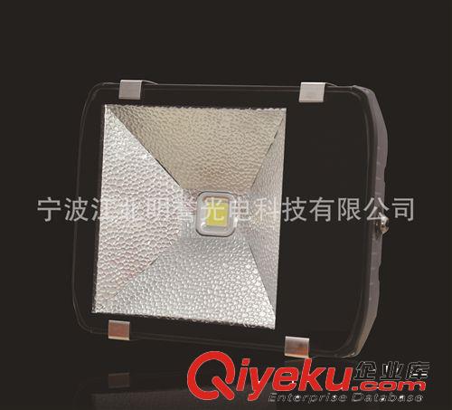 工程專用燈具  60W LED隧道燈  質保3年 寧波工廠優(yōu)惠tj中