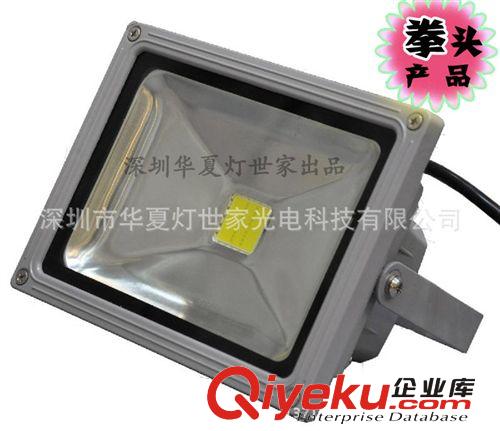led廠家批發(fā)20Wled投光燈 戶外廣場led路燈 工廠led投射燈原始圖片2