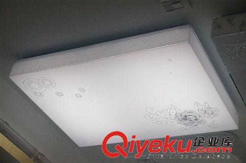 燈具燈飾LED吸頂燈全透明亞克力燈客戶臥室餐廳燈廠家直銷原始圖片3