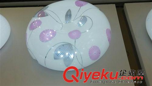 燈具燈飾吸頂燈LED燈新款房間蘋果燈廠家直銷原始圖片3