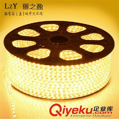 tj促銷批發客廳臥室餐廳等LED燈帶照明燈具LZY