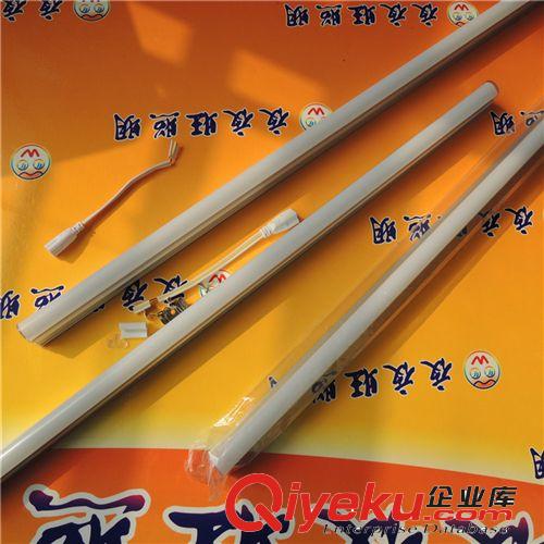 廠家直銷低價低壓12V 36V燈管地攤照明燈管直流照明燈管原始圖片2