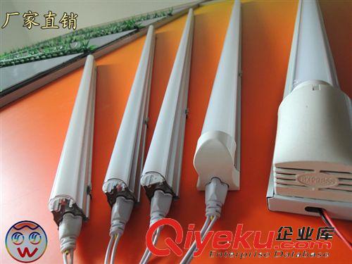 廠家直銷低價低壓12V 36V燈管地攤照明燈管直流照明燈管原始圖片3