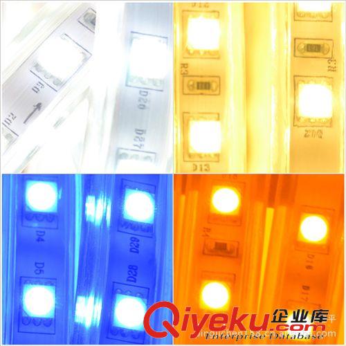 {qfl}【極浦】5050貼片60燈 led高壓燈帶 高亮防水廠家直銷批發原始圖片3