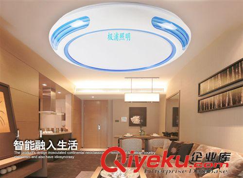 極浦現(xiàn)代簡約LED吸頂燈 書房燈無頻閃無輻射護眼LED 省電吸頂原始圖片3