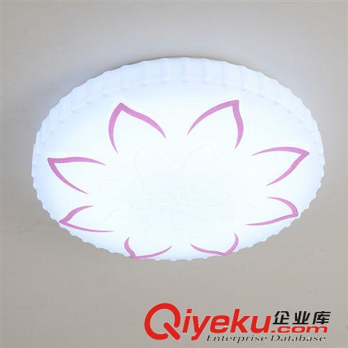 極浦LED吸頂燈陽臺燈具 玄關燈過道燈衛生間燈原始圖片3