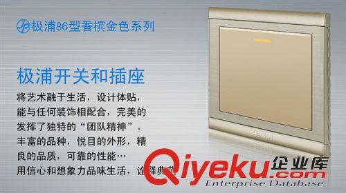 【熱銷{gj}】廠家直銷 一位單控開關 86型暗裝香檳金家用開關原始圖片3