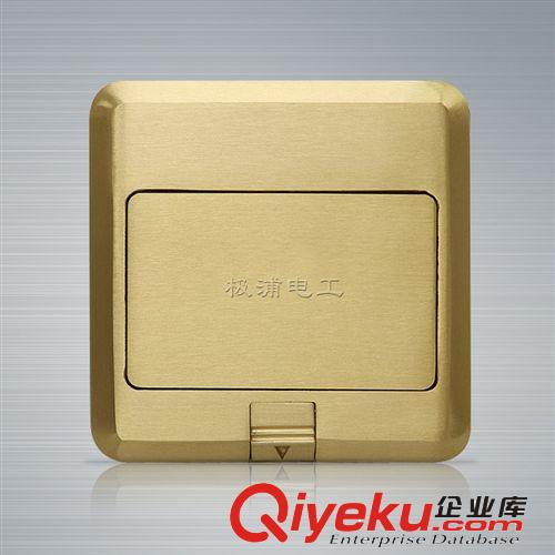 供應(yīng)極浦電工彈起式銅制地板插座(多功能3孔+電腦插座)方形