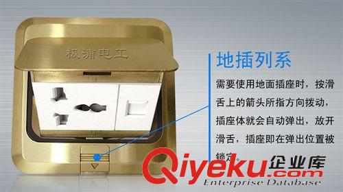 供應(yīng)極浦電工彈起式銅制地板插座(多功能3孔+電腦插座)方形
