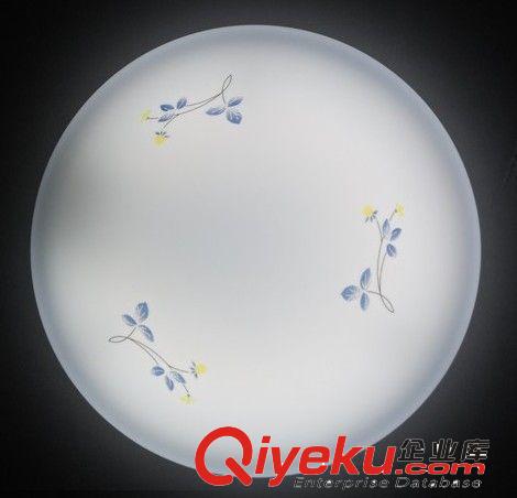 LED吸頂燈、LED臥室燈、LED廚衛燈、陽臺吸頂燈、過道樓梯燈原始圖片2