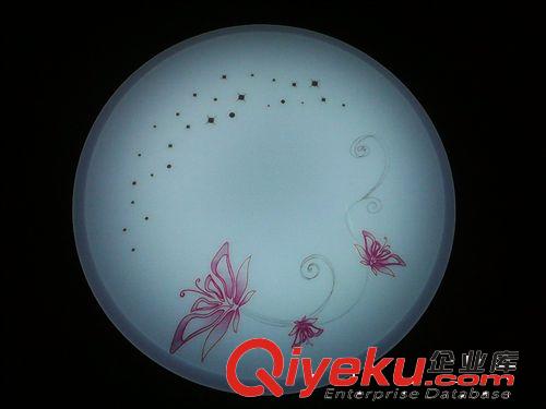 12-22W熱銷、tj超便宜LED吸頂燈、臥室燈、廚衛(wèi)燈、過道燈、原始圖片3