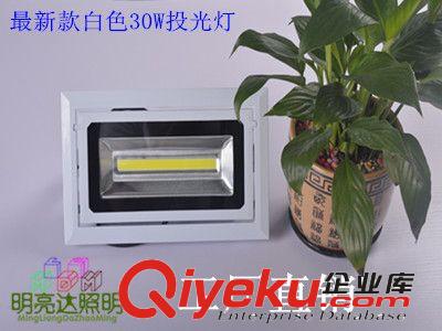 l廠家批發LED 投光燈 泛光燈 戶外照明射燈 廣告燈20W30w50w100w