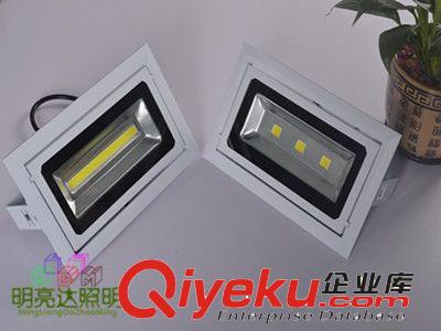 LED投光燈30W工礦燈泛光燈路燈投射燈室內(nèi)防水白色外殼東莞原始圖片3