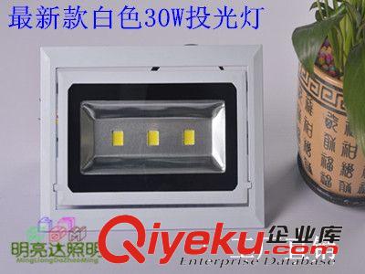 東莞廠家直銷 新款白色外殼30W投光燈 LED泛光燈 室內防水燈
