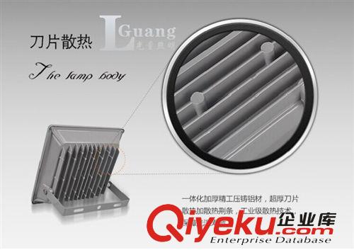 批發(fā)LED投光燈 平板款式戶外燈具 射燈 超強(qiáng)防水50W一臺(tái)起批原始圖片2