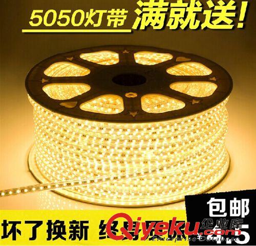 LED220V燈帶 3528軟燈條 防水燈帶 裝飾燈 超高亮度 廠家批發(fā)