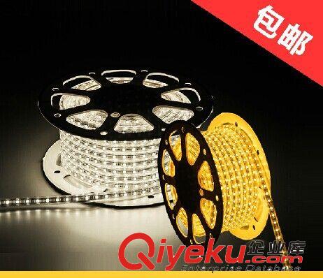 LED220V燈帶 3528軟燈條 防水燈帶 裝飾燈 超高亮度 廠家批發