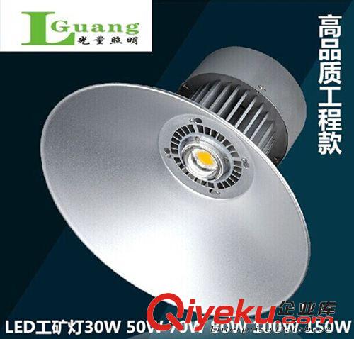 LED50W工礦燈 倉(cāng)庫(kù)加油站用 集成式 光量照明直銷(xiāo) 工程高品質(zhì)