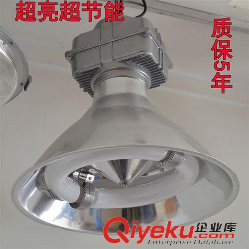 tj批發高頻無極燈無極泛光燈射燈廣告牌燈戶外防水照明燈