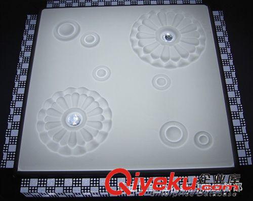 LED吸頂燈 簡約現代客廳燈 臥室燈燈具批發 廠家直銷原始圖片2