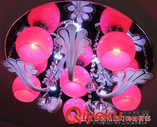 現(xiàn)代簡約圓形花瓣吸頂燈客廳臥室燈節(jié)能燈廠家直銷