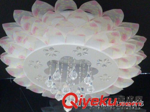 現(xiàn)代簡(jiǎn)約圓形花瓣吸頂燈客廳臥室燈節(jié)能燈廠(chǎng)家直銷(xiāo)原始圖片3