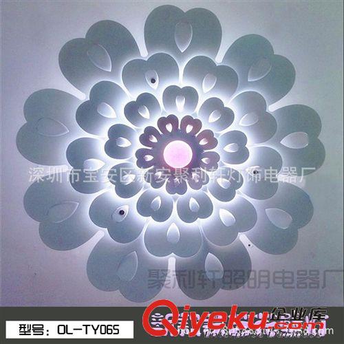 廠家直銷  立體雕花鐵藝花壁燈 LED休閑會所裝飾照明燈具TY065