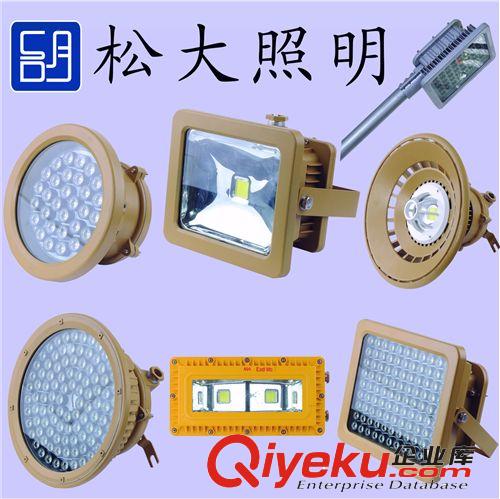 【企業(yè)集采】LED防爆燈,免維護{gx}節(jié)能防爆路燈，led防爆燈路燈原始圖片3