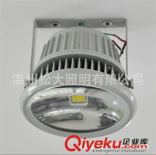 【企業(yè)集采】直銷(xiāo)LED投光燈{gx}節(jié)能免維護(hù)B42-R系列防爆燈具原始圖片2