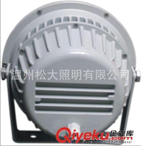 【企業(yè)集采】直銷(xiāo)LED投光燈{gx}節(jié)能免維護(hù)B42-R系列防爆燈具原始圖片3