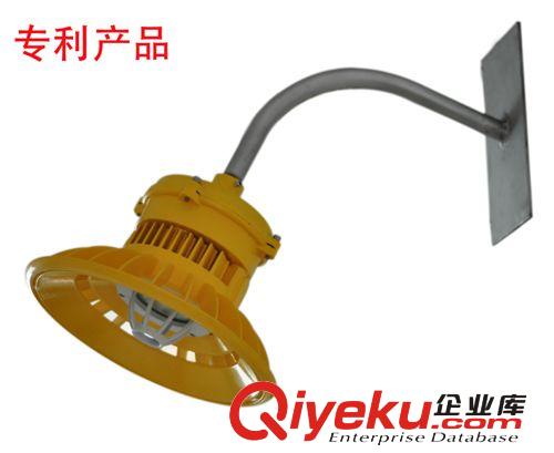 【企業集采】LED防爆燈具路燈，LED路燈，{gx}節能廠家直銷帶支架