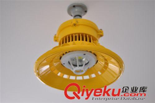 【企業(yè)集采】LED防爆燈具路燈，LED路燈，{gx}節(jié)能廠家直銷帶支架原始圖片3