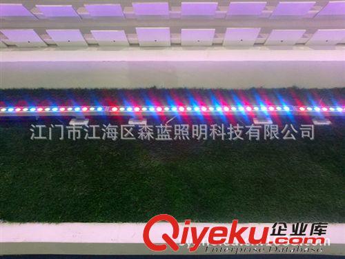 長期供應(yīng) 36W暖白光大功率洗墻燈 市政亮化工程燈具 LED燈具