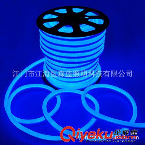 供應(yīng)高亮藍(lán)光LED柔性霓虹燈管 工程專(zhuān)用LED燈帶原始圖片2