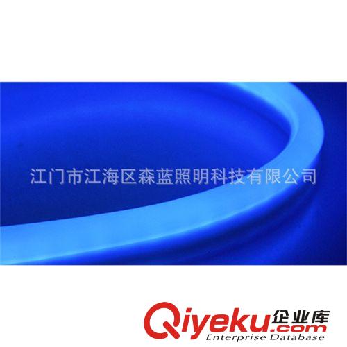 供應(yīng)高亮藍(lán)光LED柔性霓虹燈管 工程專(zhuān)用LED燈帶原始圖片3