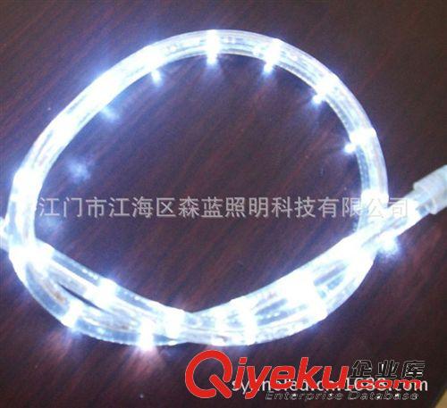 批發(fā)供應(yīng)LED白色光圓二線彩虹管、燈帶、燈條、輪廓裝飾燈原始圖片3