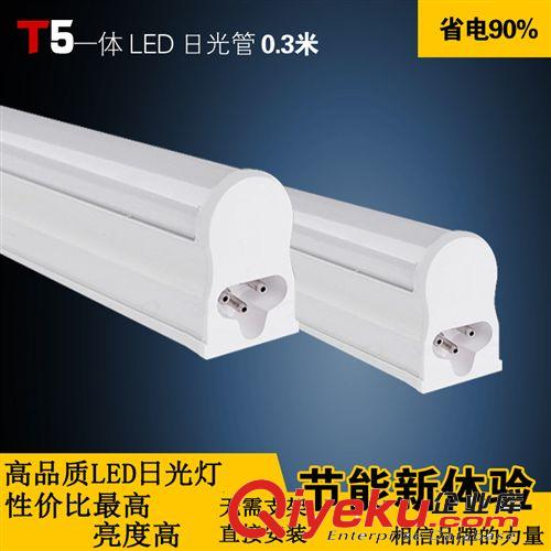 LEDT5日光灯 0.3米4W T5一体化管  LED灯 全套一件代发led