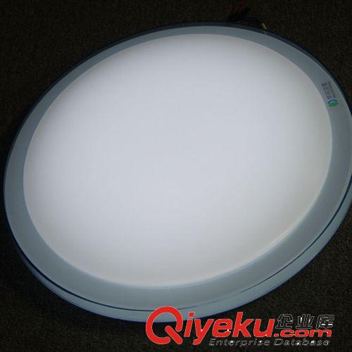 LED圓形吸頂燈15W PC罩藍(lán)色邊節(jié)能 質(zhì)保兩年 華銘湛星 廠家直銷原始圖片2