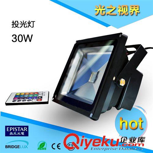 外貿特款 黑色款 10W 集成 RGB 水底燈 泳池燈 噴泉燈 遙控控制