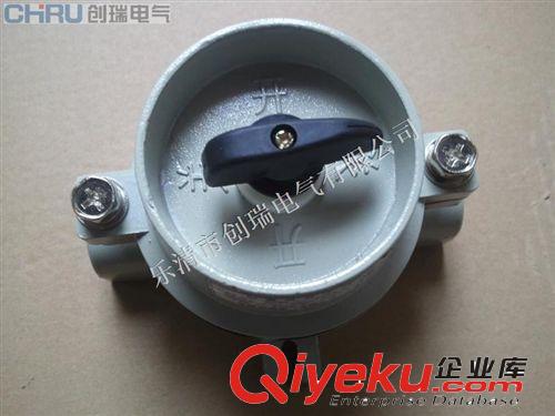 供應(yīng)世博會(huì)展出商品SW-10防爆照明開(kāi)關(guān) 連云港防爆照明開(kāi)關(guān)廠原始圖片3