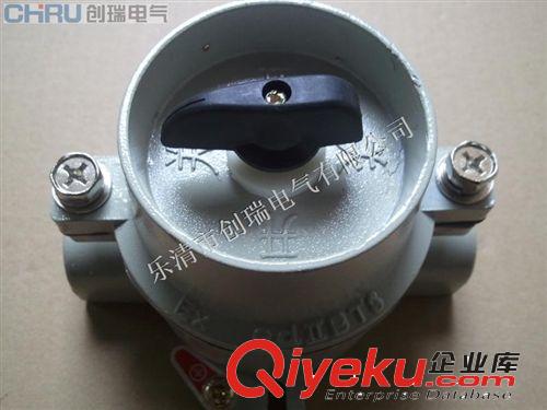 SW-10系列防爆照明開關(guān) 防爆開關(guān)照明 防爆空氣開關(guān) 河北防爆開關(guān)原始圖片2
