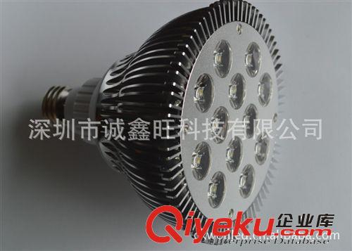 LED PAR射燈，大功率筒燈，LED斗膽燈，LED筒燈,PAR38,12W可調光