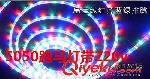 5050跑马220V彩色灯带    60珠    配送跑马灯带控制器