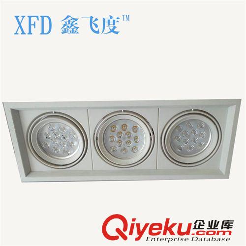 批發(fā)供應(yīng)  雙頭12W COB平板格柵燈 大功率led格柵燈