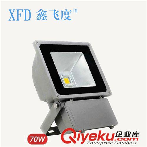 熱銷推薦 鑫飛度金鹵led投光燈 足瓦戶外led投光燈