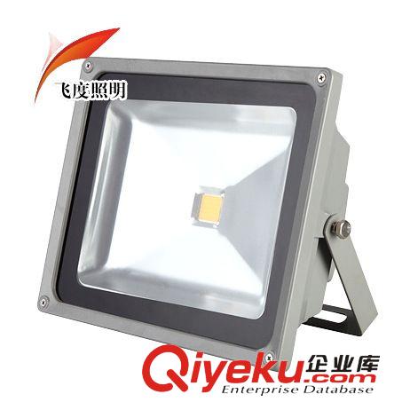 LED投光灯 10W20W30W50W100W投光灯 泛光灯足瓦 广告户外投光灯