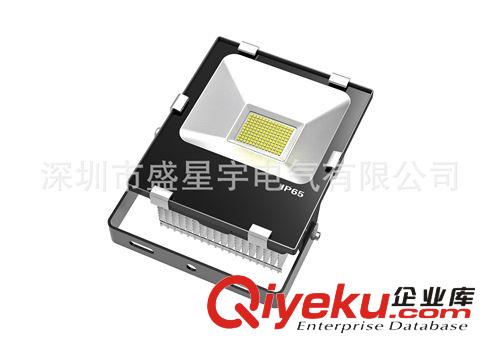 LED投光燈-50W  投光燈 泛光燈 人體感應(yīng) RGB泛光燈 AC24V泛光燈