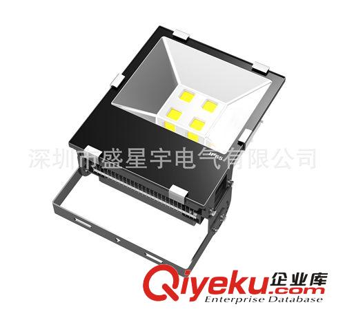 LED投光燈-50W  投光燈 泛光燈 人體感應(yīng) RGB泛光燈 AC24V泛光燈