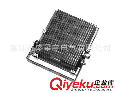 LED投光燈-30W  投光燈 泛光燈 人體感應 RGB泛光燈 AC24V泛光燈