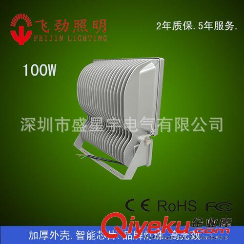 低壓輸入12/24V泛光燈-100W   投光燈 RGB泛光燈 人體感應泛光燈